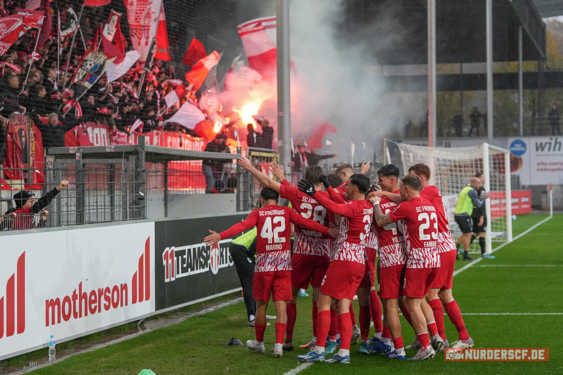 SC Freiburg II – SC Preußen Münster 2-2 (36)