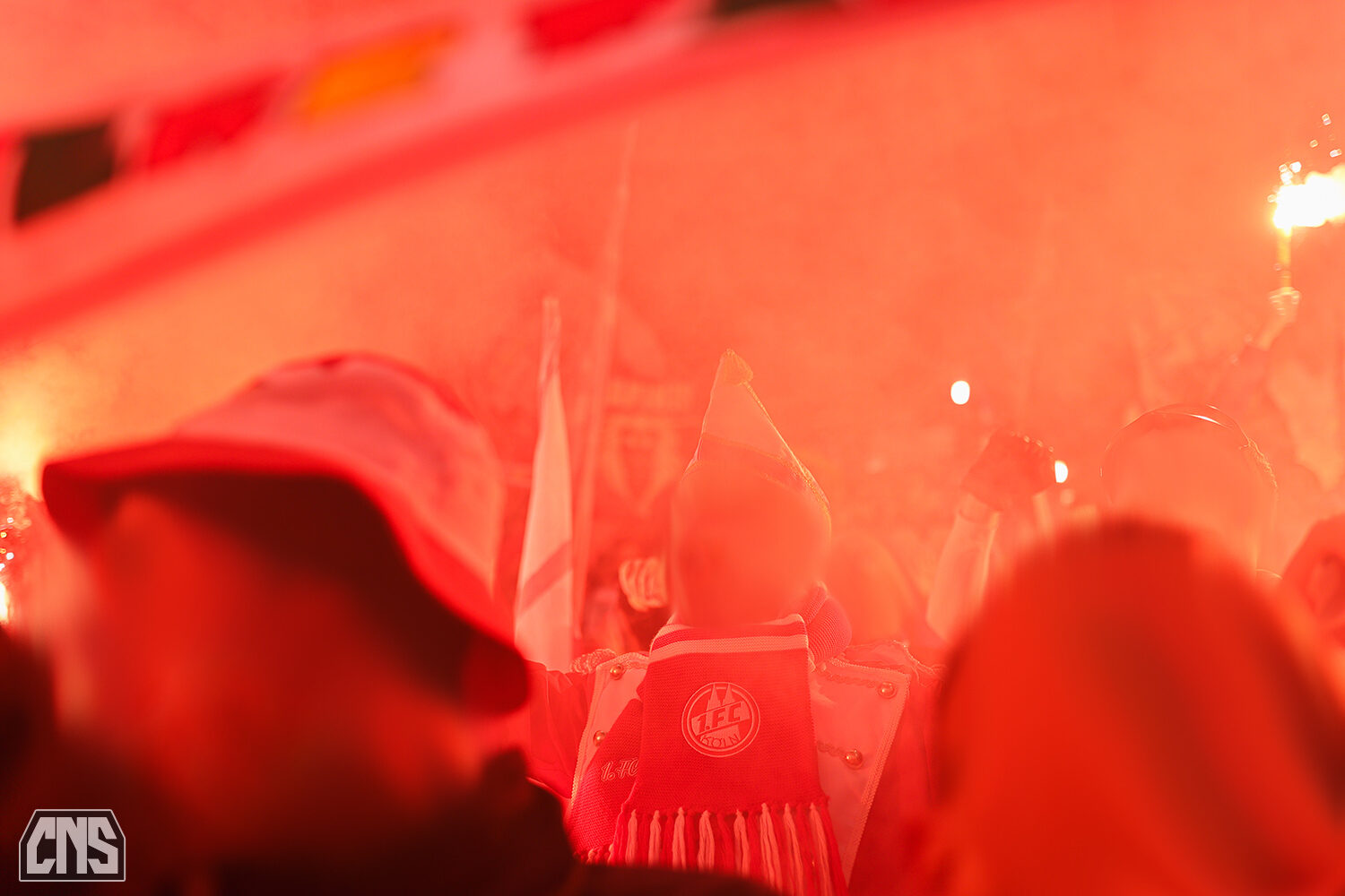 TSG Hoffenheim – 1. FC Köln 1-1 (19)