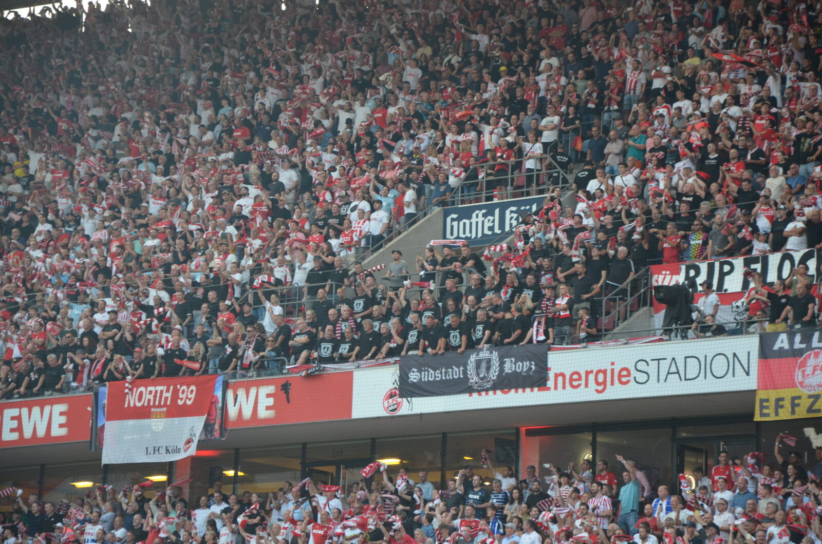 1. FC Köln – Hamburger SV 1-2 (55)