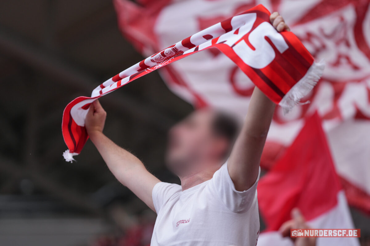 SC Freiburg – VfL Wolfsburg 1-2 (13)