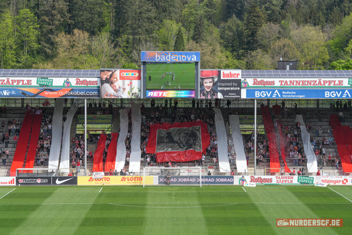 SC Freiburg Frauen – VfL Wolfsburg Frauen 1-4 (13)