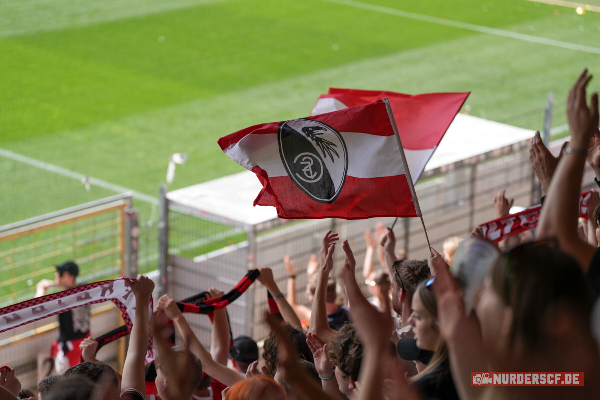 SC Freiburg Frauen – VfL Wolfsburg Frauen 1-4 (17)