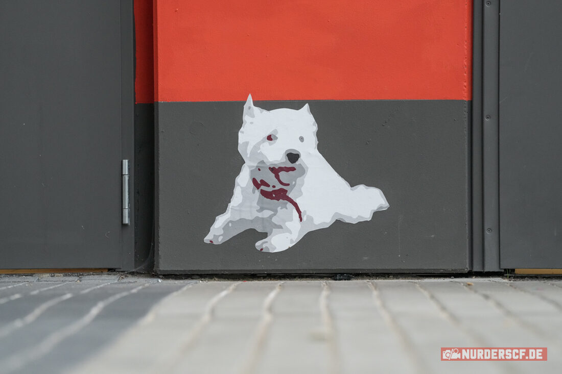 SC Freiburg – Hamburger SV 2-1 (4)