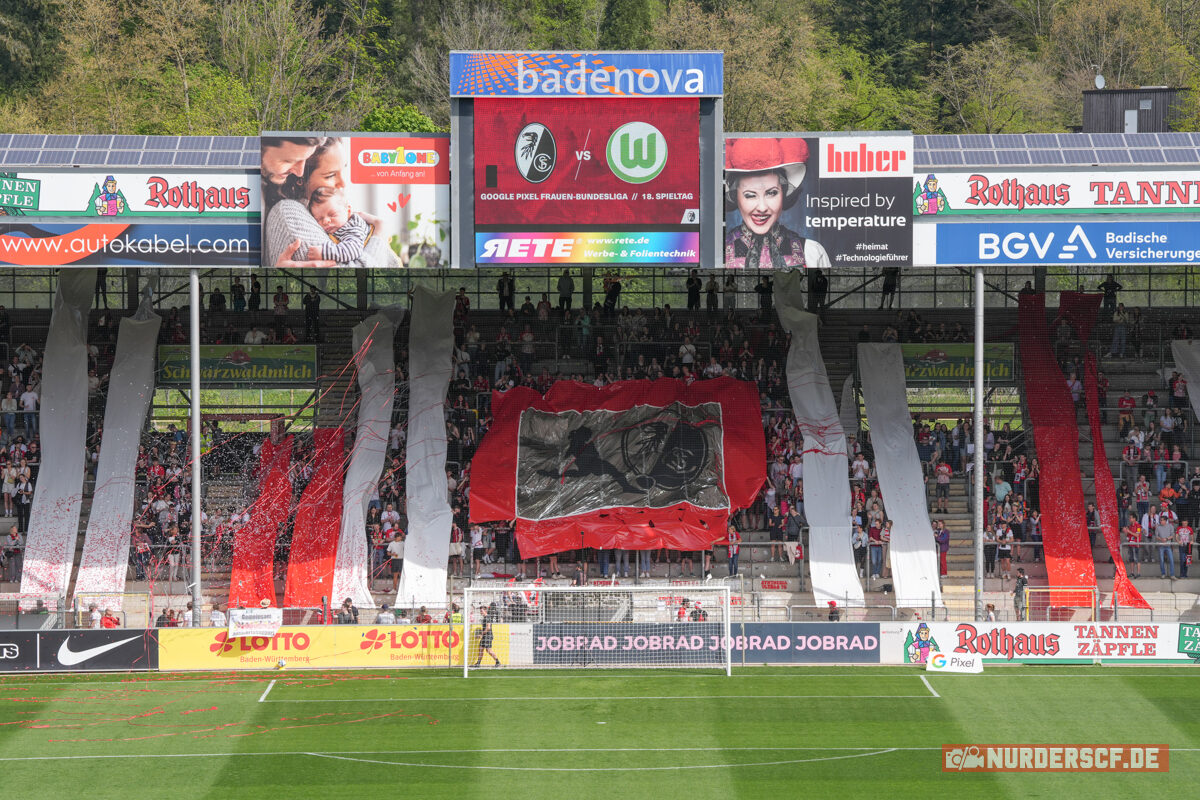 SC Freiburg Frauen – VfL Wolfsburg Frauen 1-4 (14)