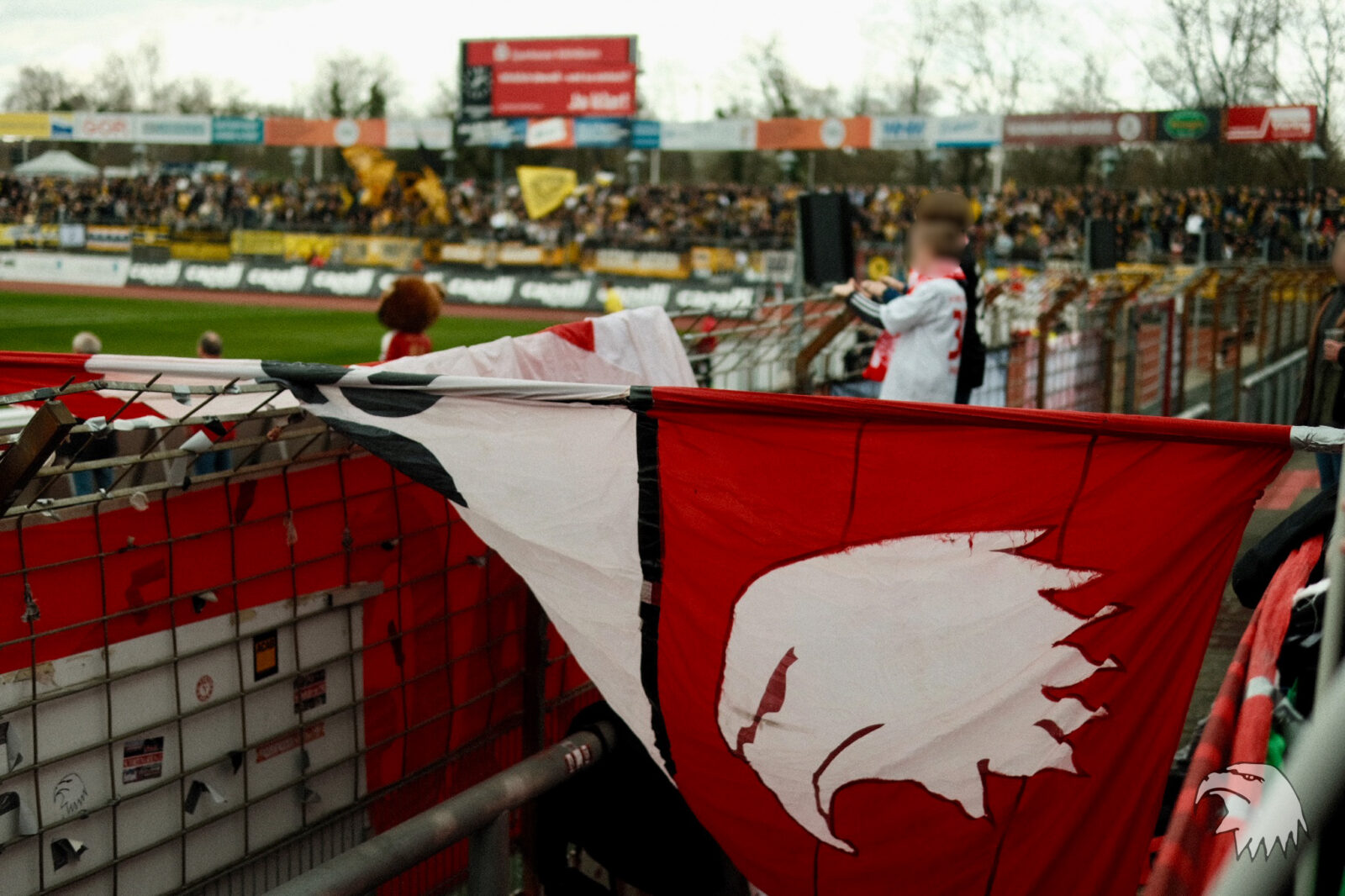 SC Fortuna Köln – TSV Alemannia Aachen 1-0