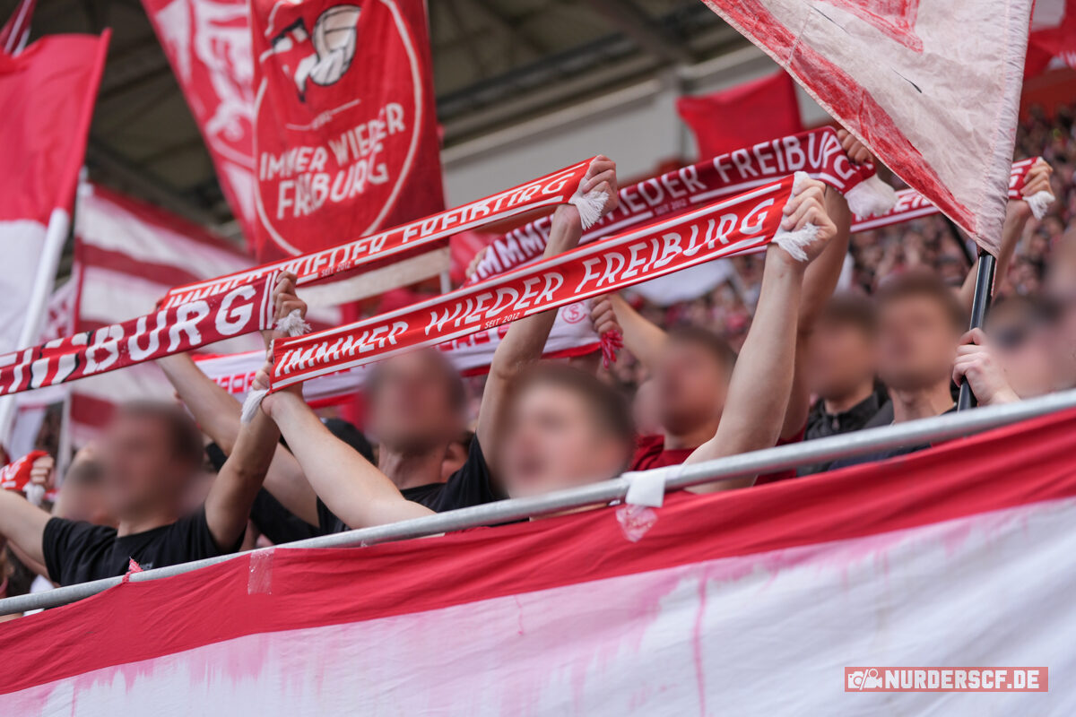 SC Freiburg – VfL Wolfsburg 1-2 (7)