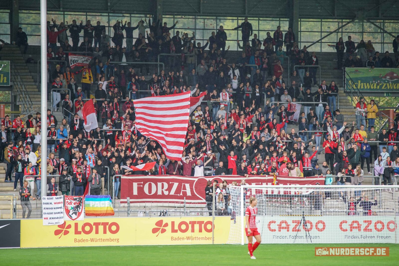 SC Freiburg Frauen – Eintracht Frankfurt Frauen 2-4 (8)