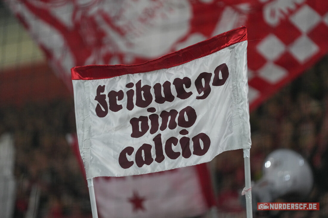SC Freiburg – Hamburger SV 2-1 (18)