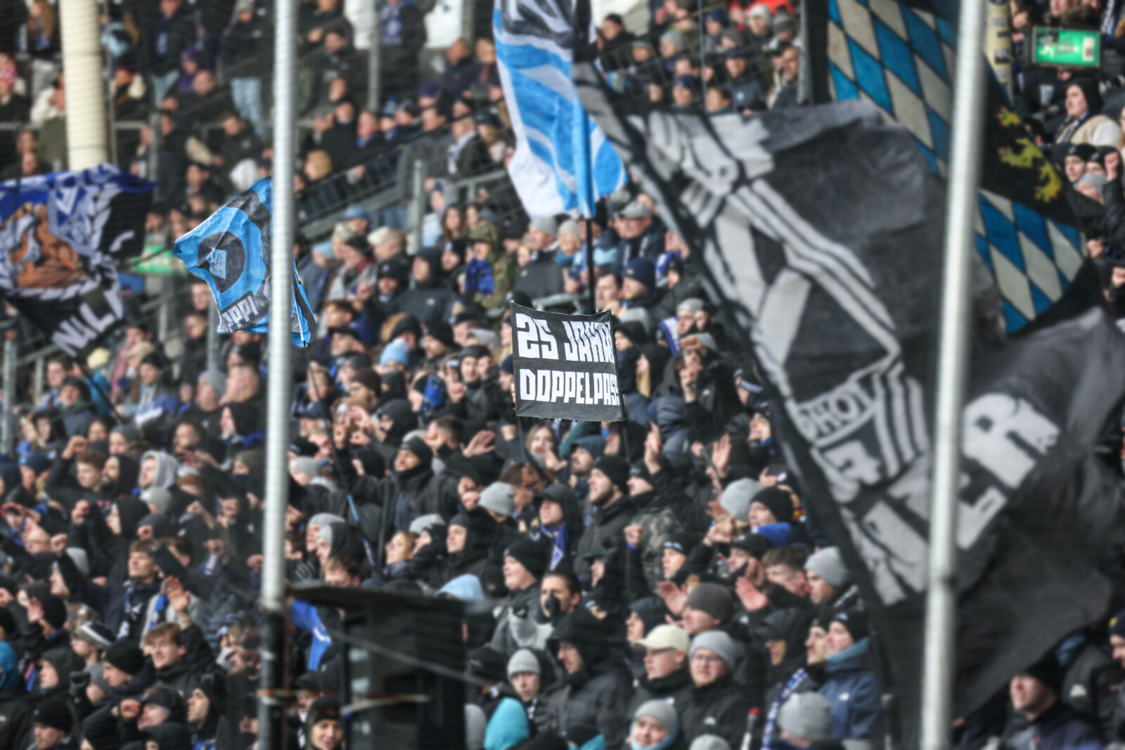 SV Waldhof Mannheim – DSC Arminia Bielefeld 1-1 (5)