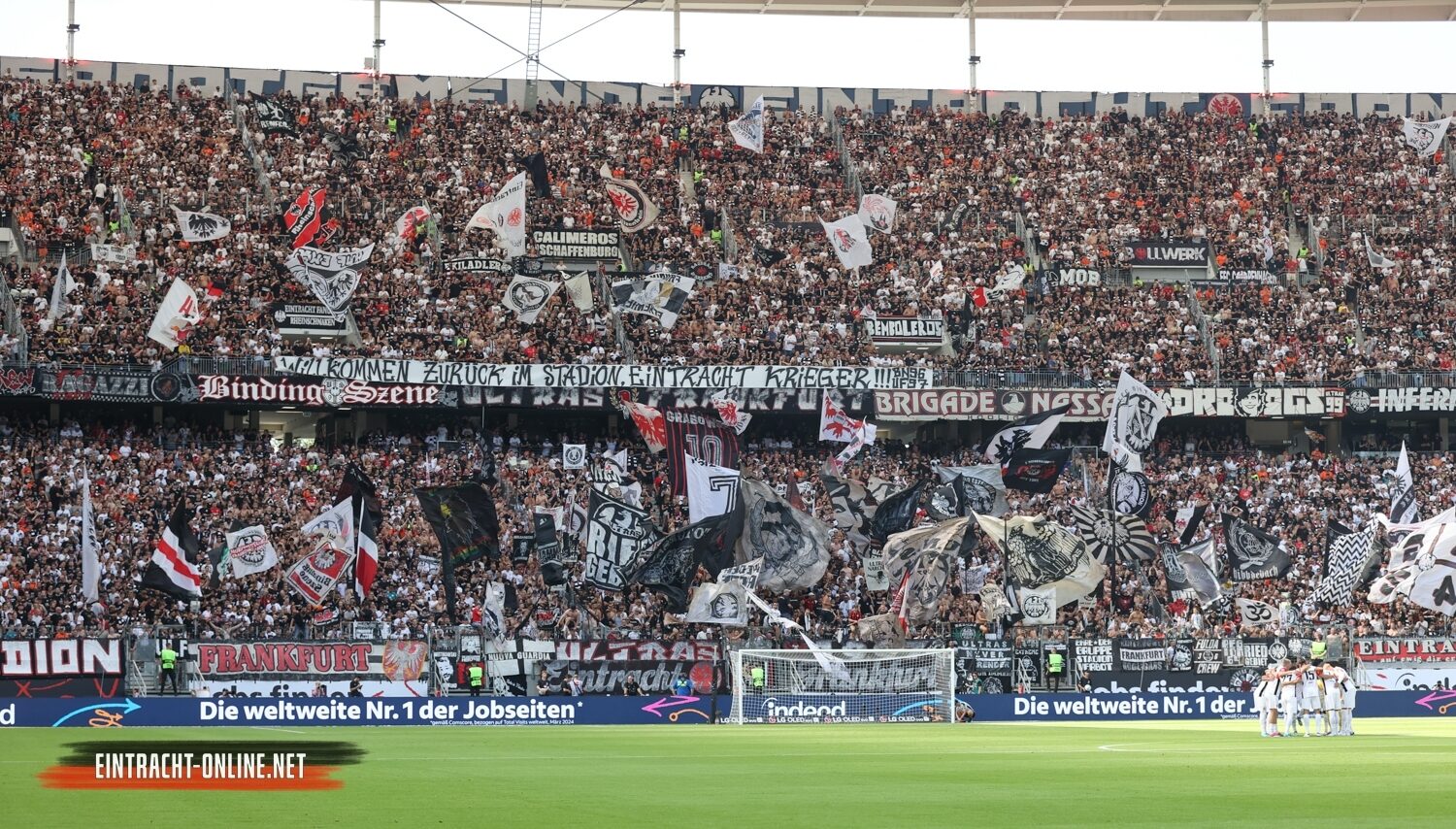 Eintracht Frankfurt – TSG Hoffenheim 3-1 (5)