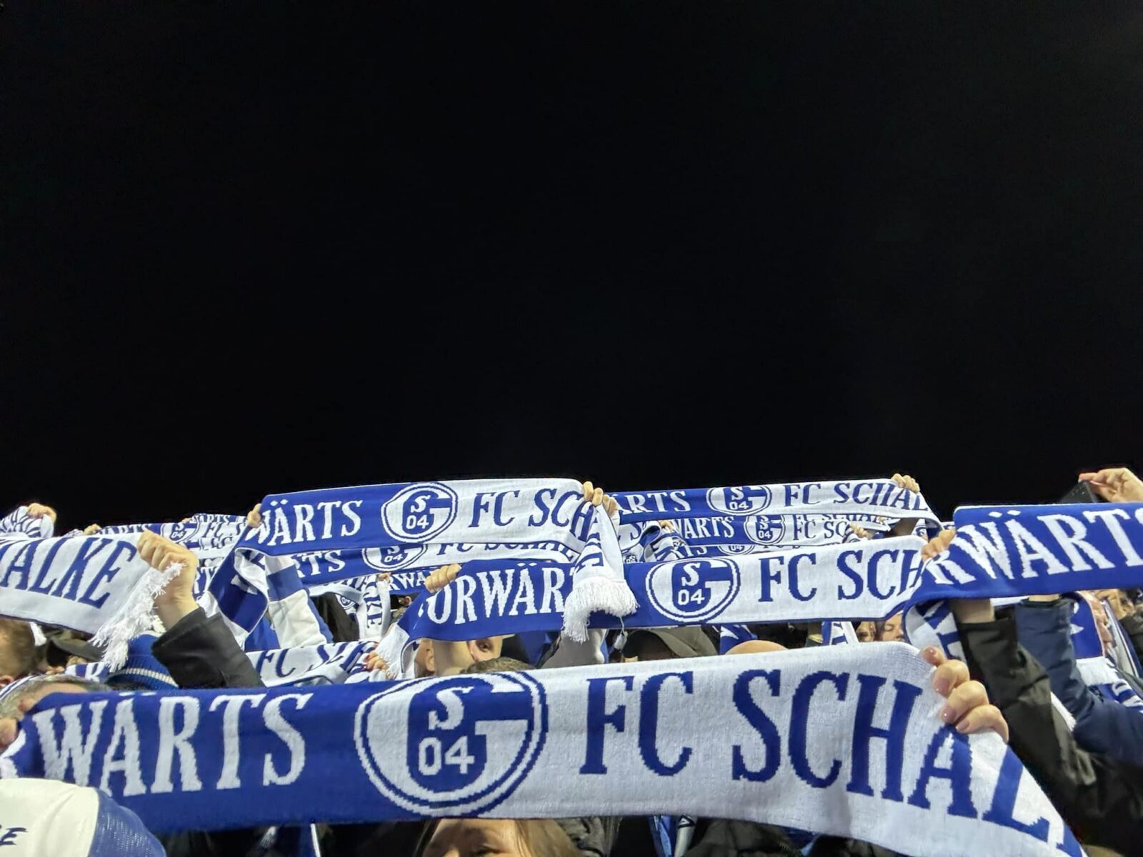 SSV Ulm 1846 – FC Schalke 04 (4)