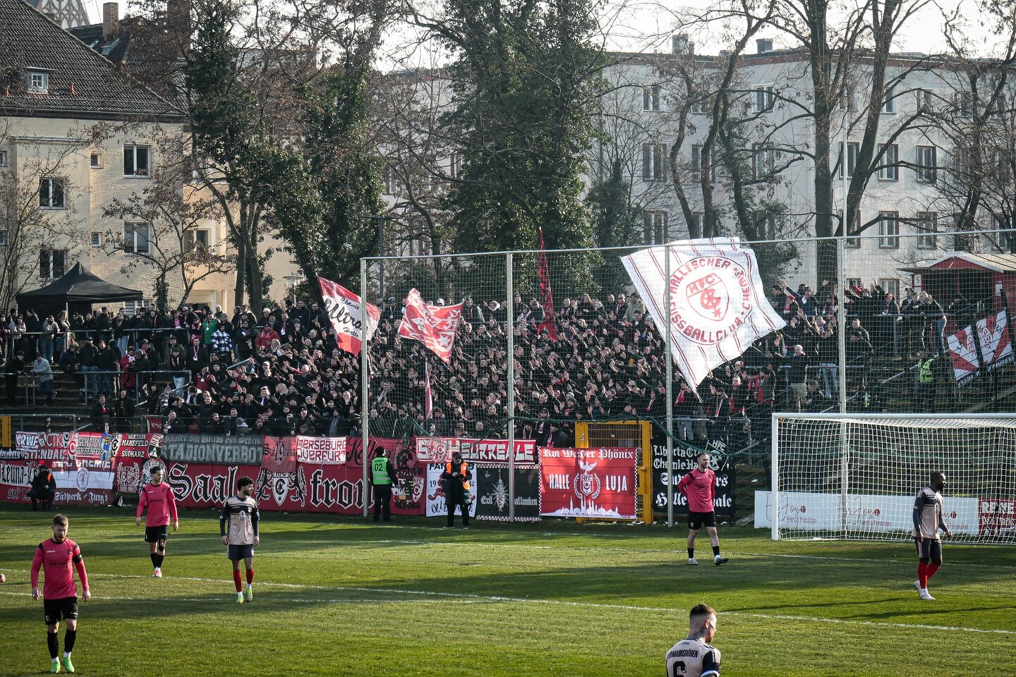VSG Altglienicke – Hallescher FC 1-2 (2)