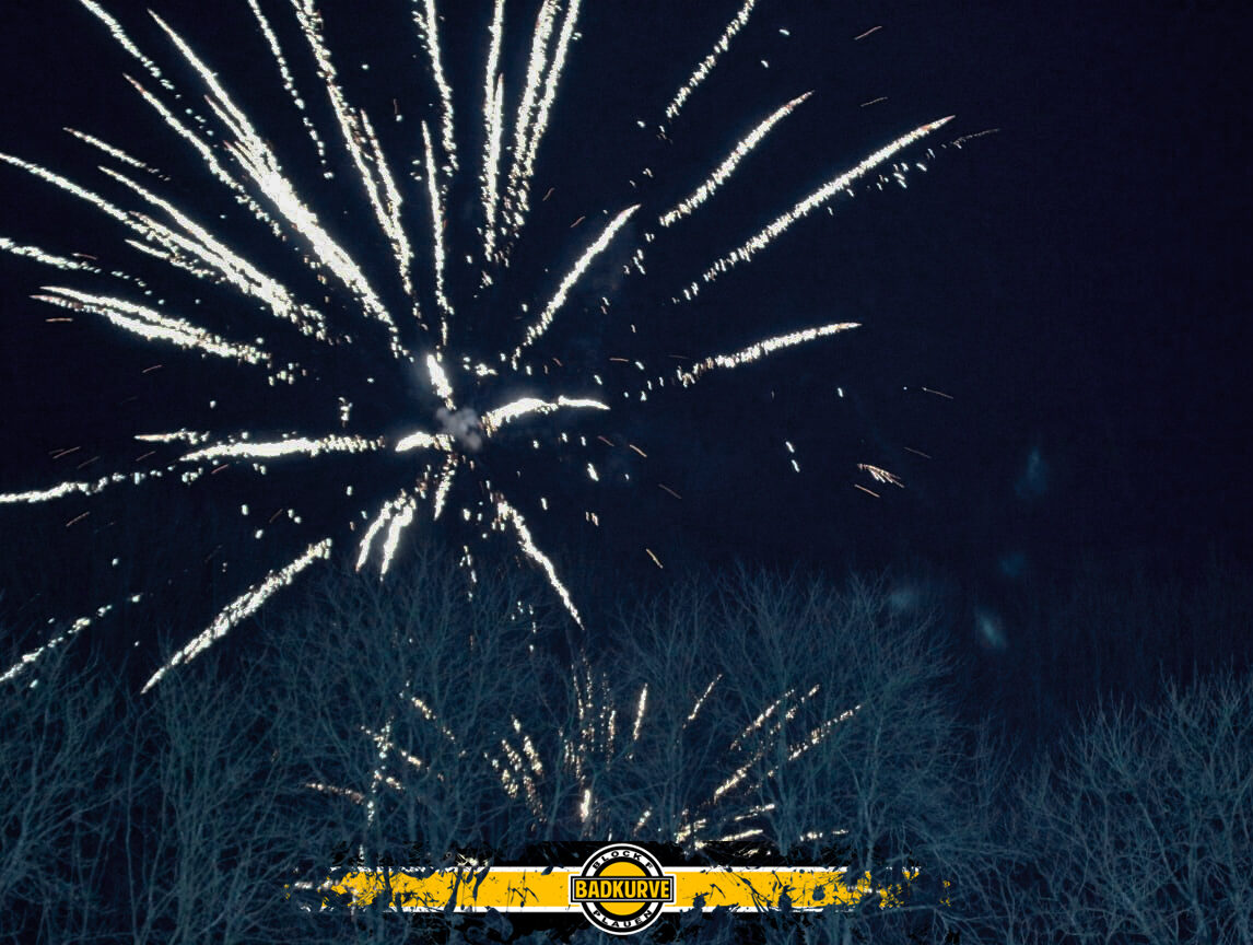 VFC Plauen – 1. FC Lokomotive Leipzig 0-1 (1)