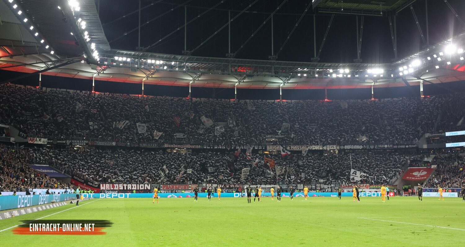 Eintracht Frankfurt – TSG Hoffenheim 3-1 (16)