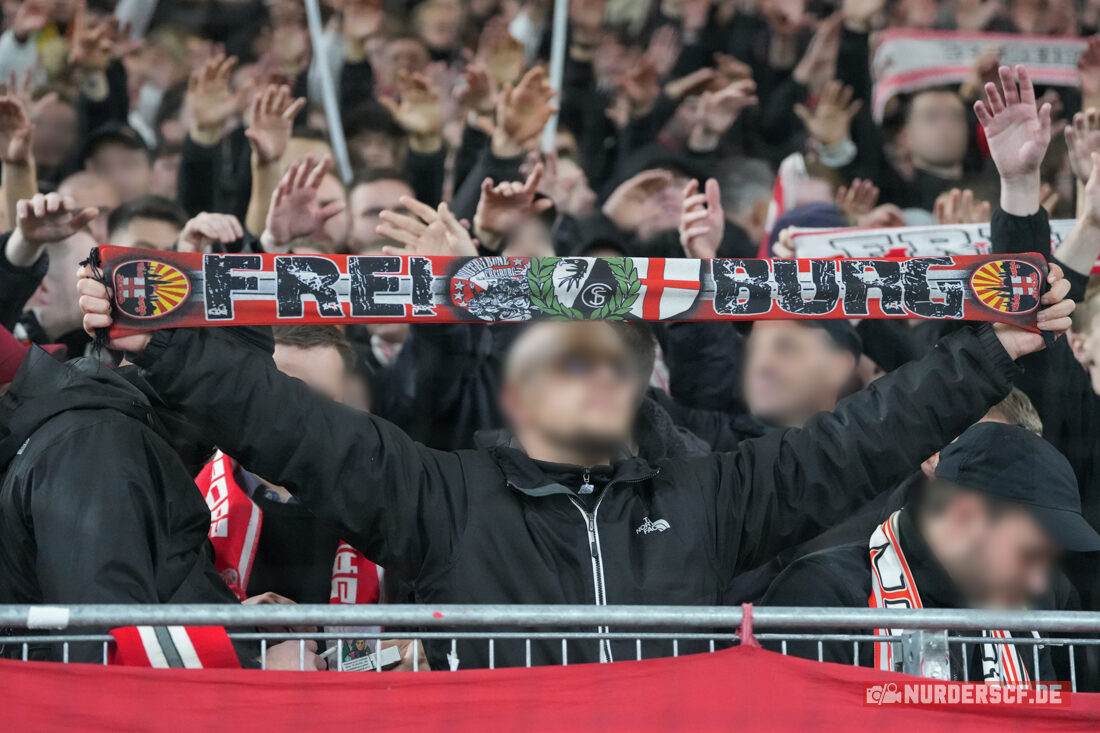 SC Freiburg – Hamburger SV 2-1 (33)