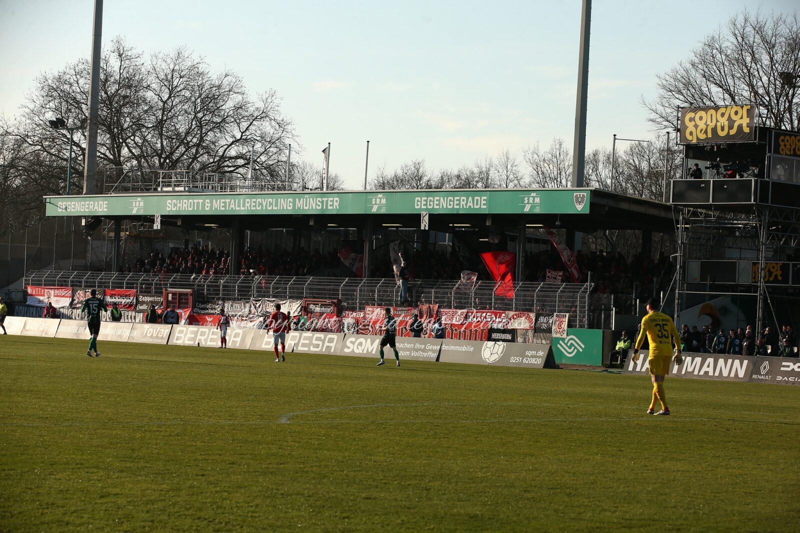 SC Preußen Münster – Hallescher FC 1-0 (8)