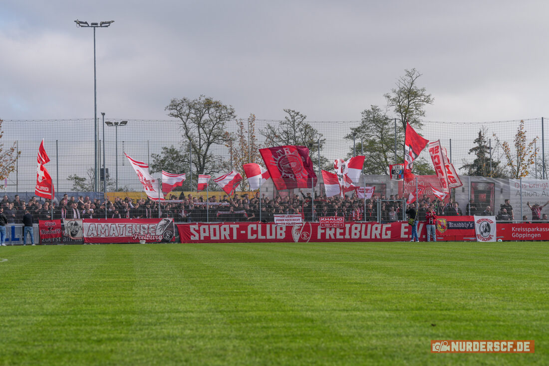 Göppinger SV – SC Freiburg II 1-0 (19)