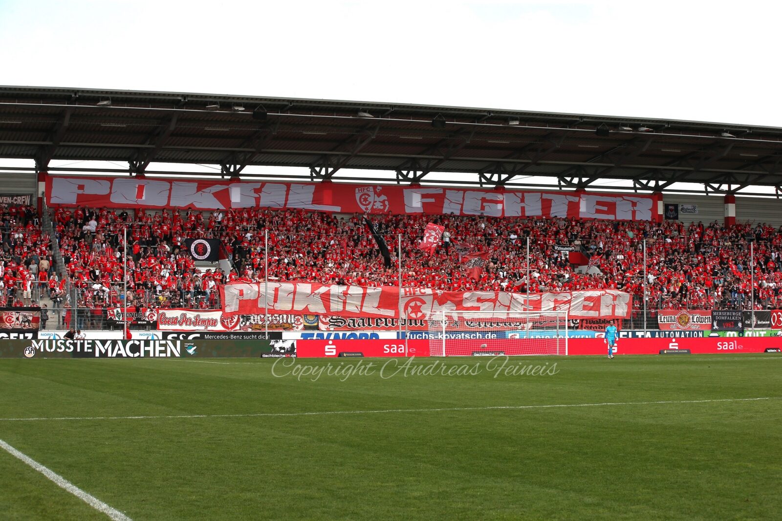 Germania Halberstadt – Hallescher FC 2-4 (2)