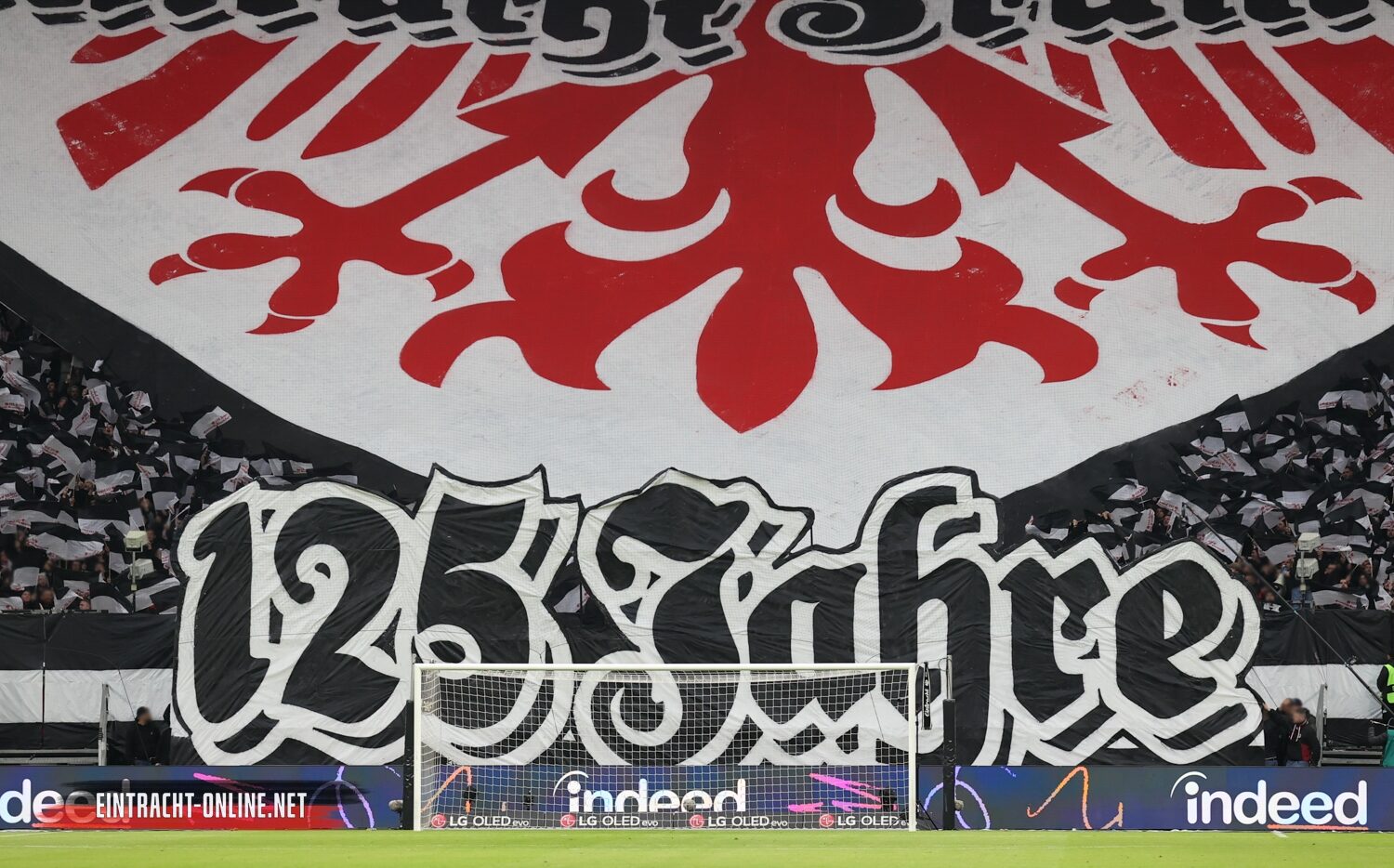 Eintracht Frankfurt – TSG Hoffenheim 3-1 (24)