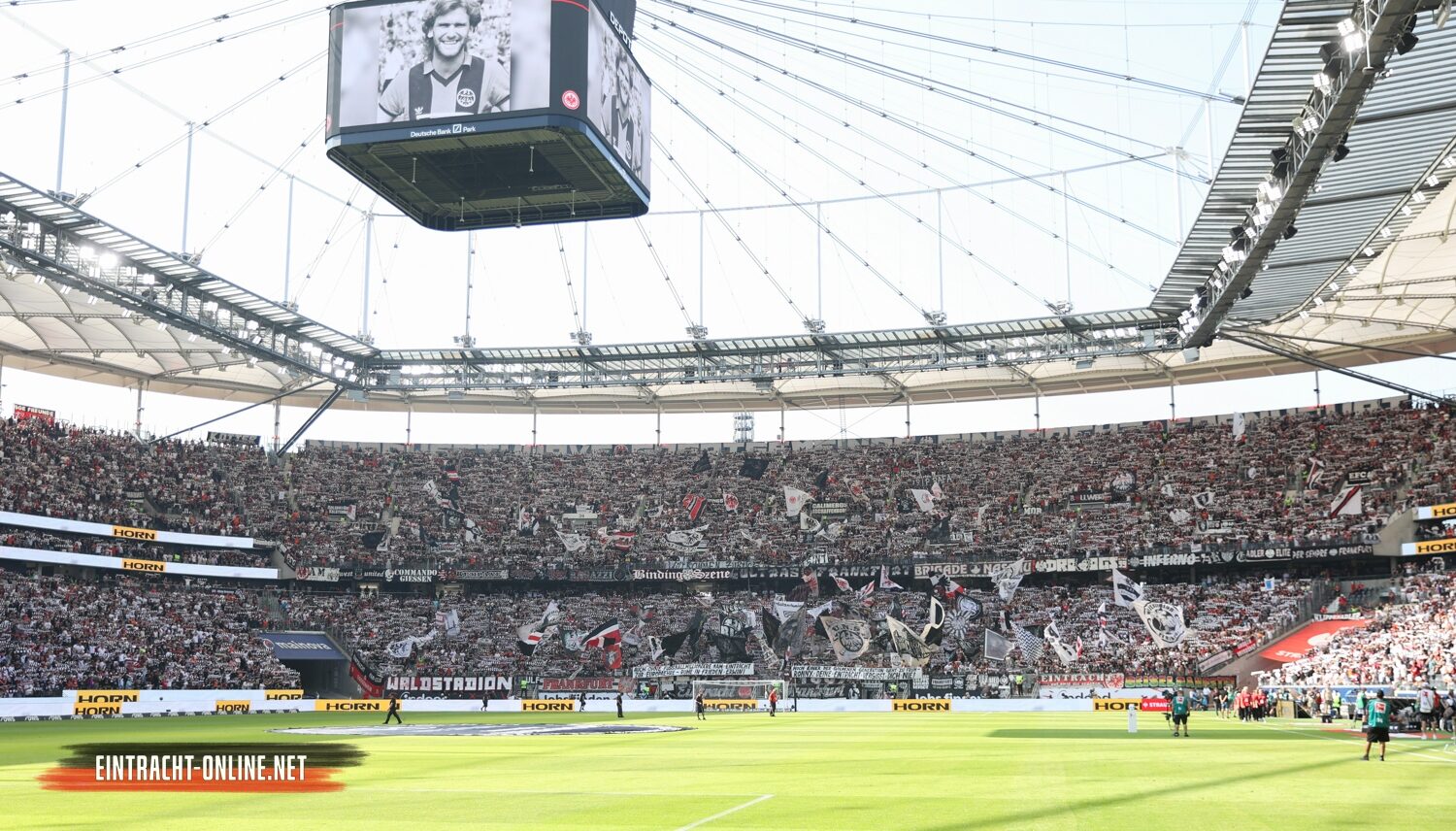 Eintracht Frankfurt – TSG Hoffenheim 3-1 (42)