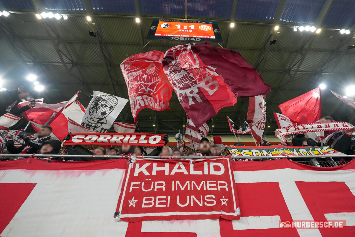 SC Freiburg – 1. FSV Mainz 05 1-1 (20)