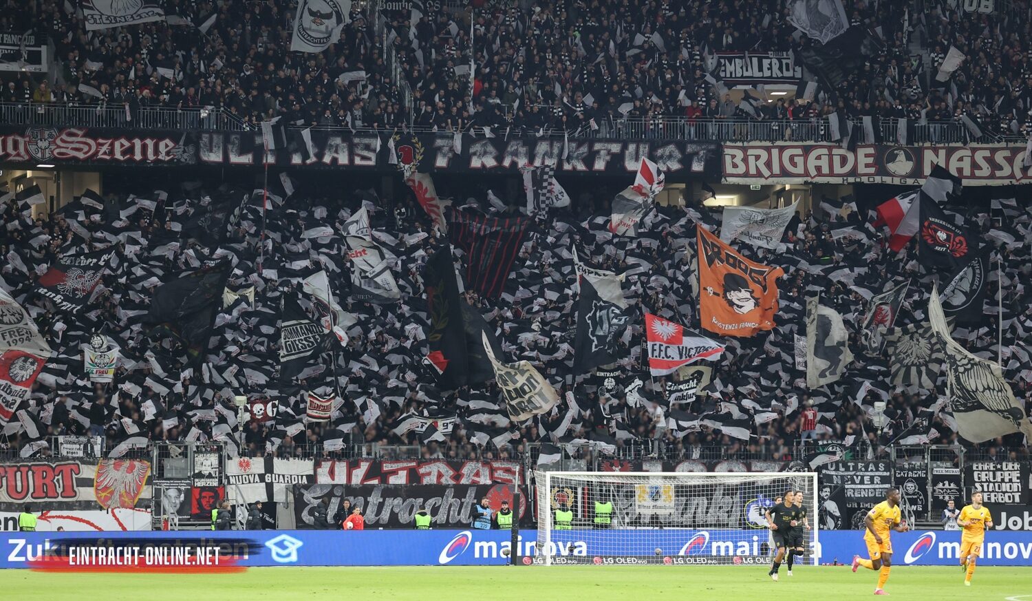 Eintracht Frankfurt – TSG Hoffenheim 3-1 (13)