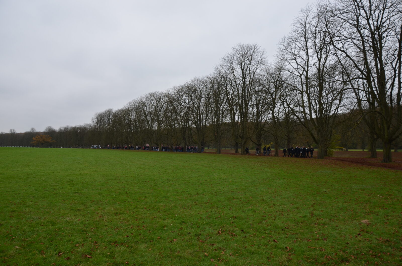 1. FC Köln – SpVgg Fürth 1-0 (10)