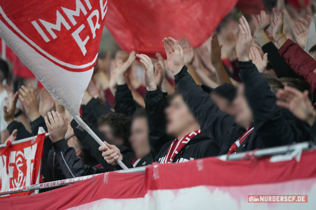 SC Freiburg – Hamburger SV 2-1 (19)