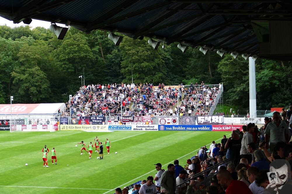 Viktoria Köln – Dynamo Dresden (1)