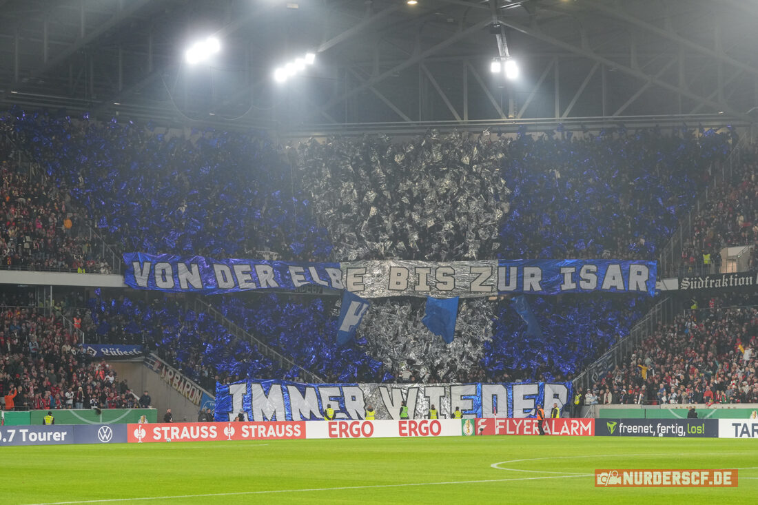 SC Freiburg – Hamburger SV 2-1 (9)