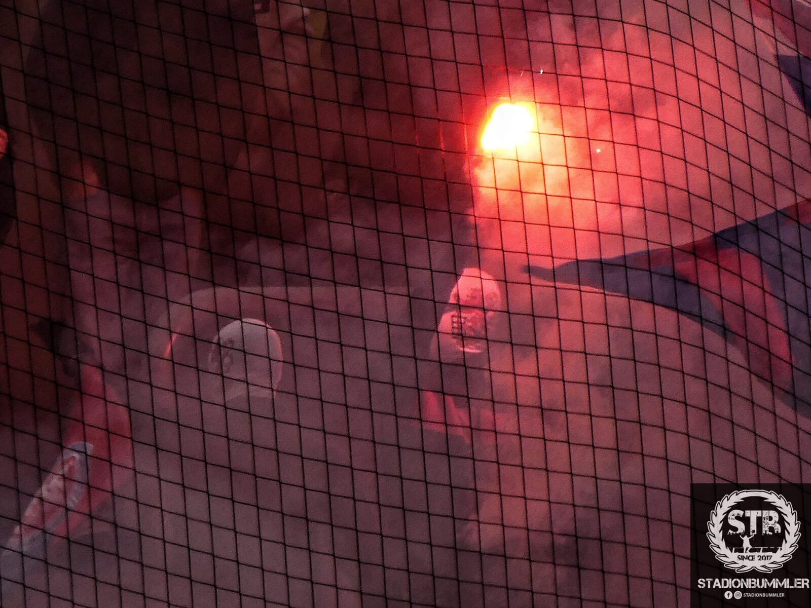 Wuppertaler SV – MSV Duisburg 1-2 (4)