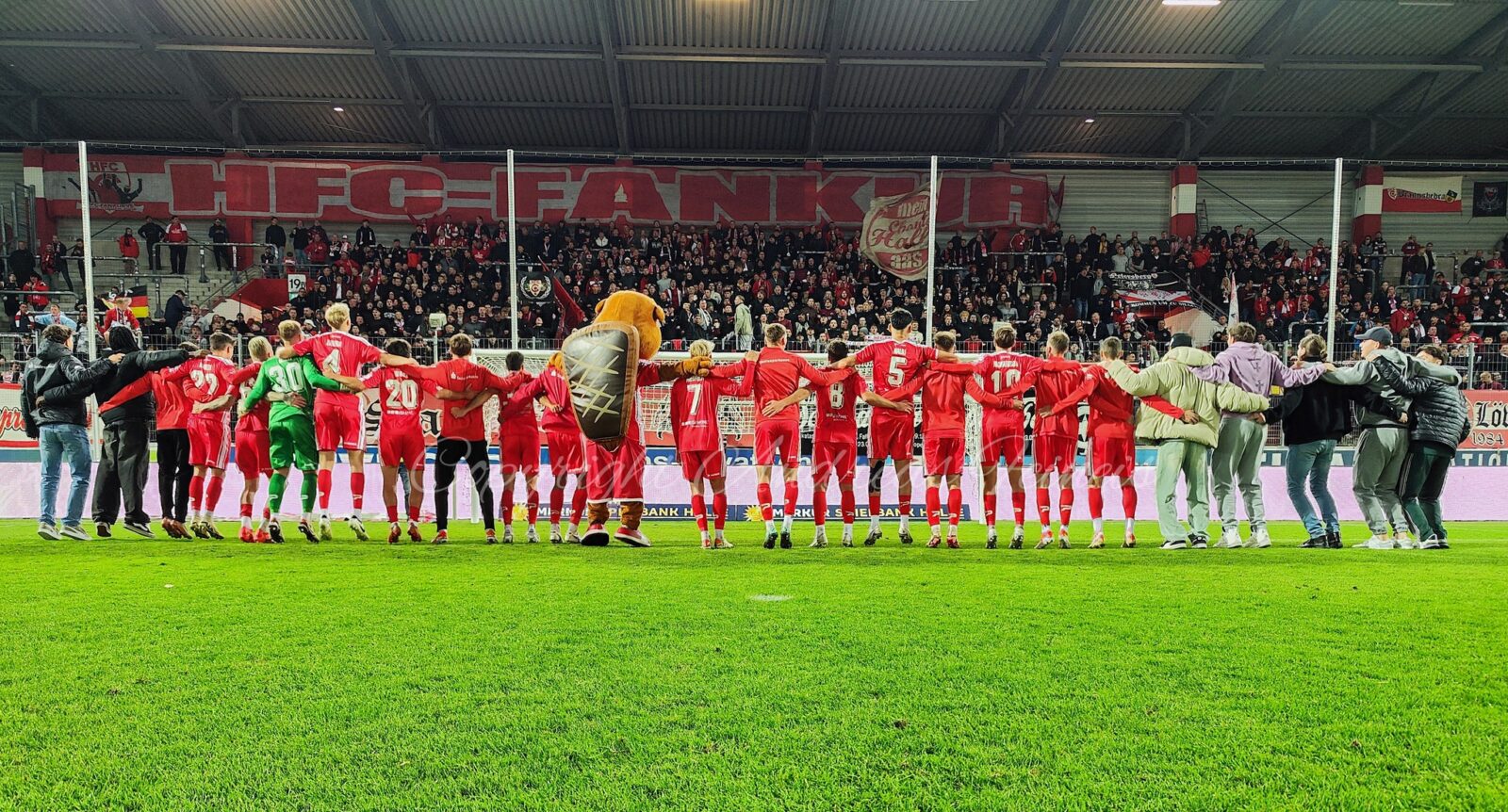 Hallescher FC – FSV Luckenwalde 1-0 (2)