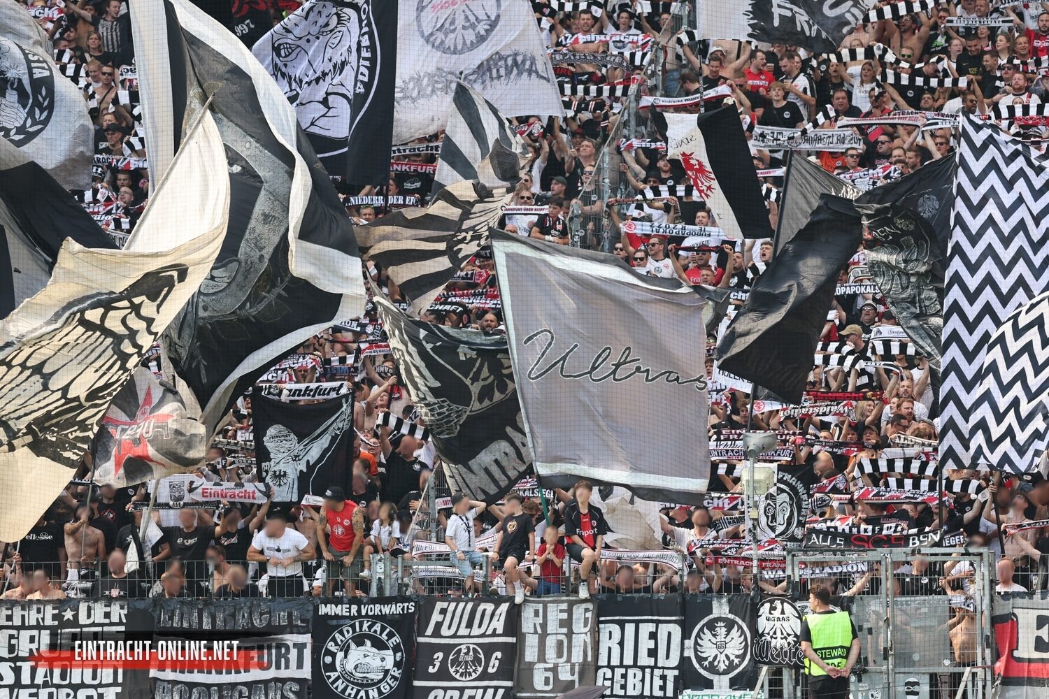 Eintracht Frankfurt – TSG Hoffenheim 3-1 (18)