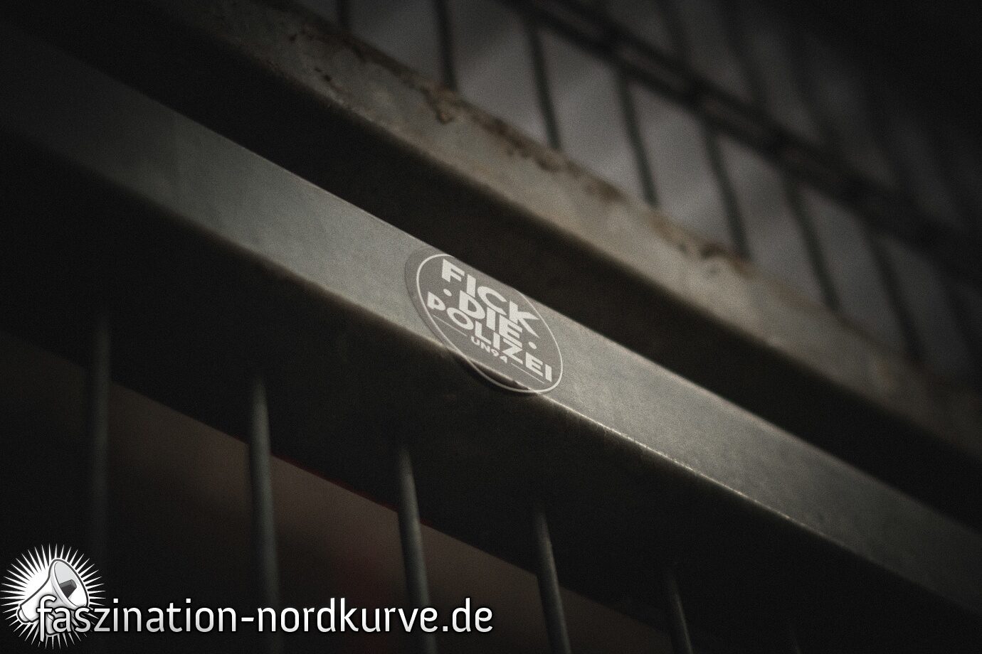 1. FC Nürnberg – Eintracht Braunschweig 2-1 (16)