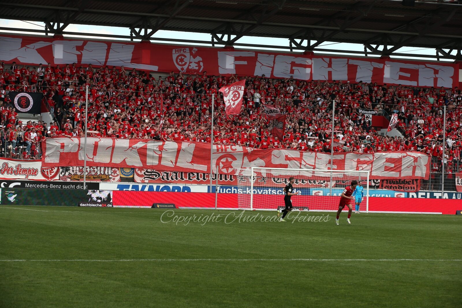 Germania Halberstadt – Hallescher FC 2-4 (11)