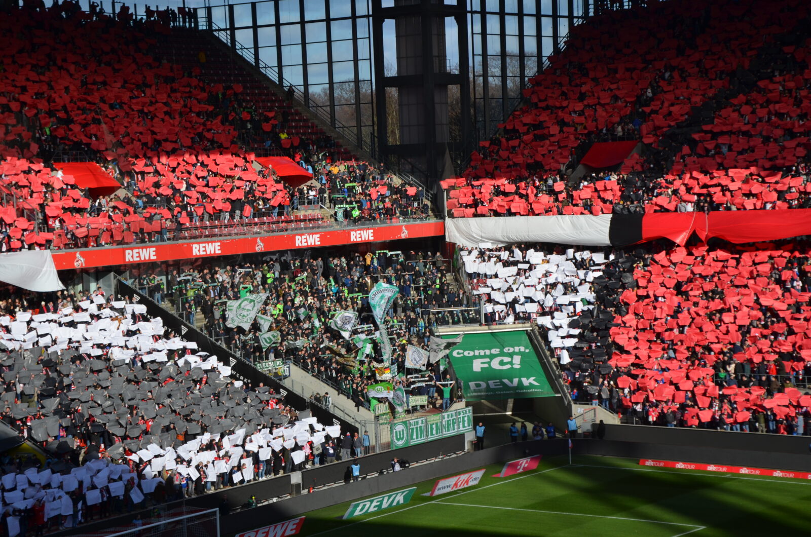 1. FC Köln – VfL Wolfsburg