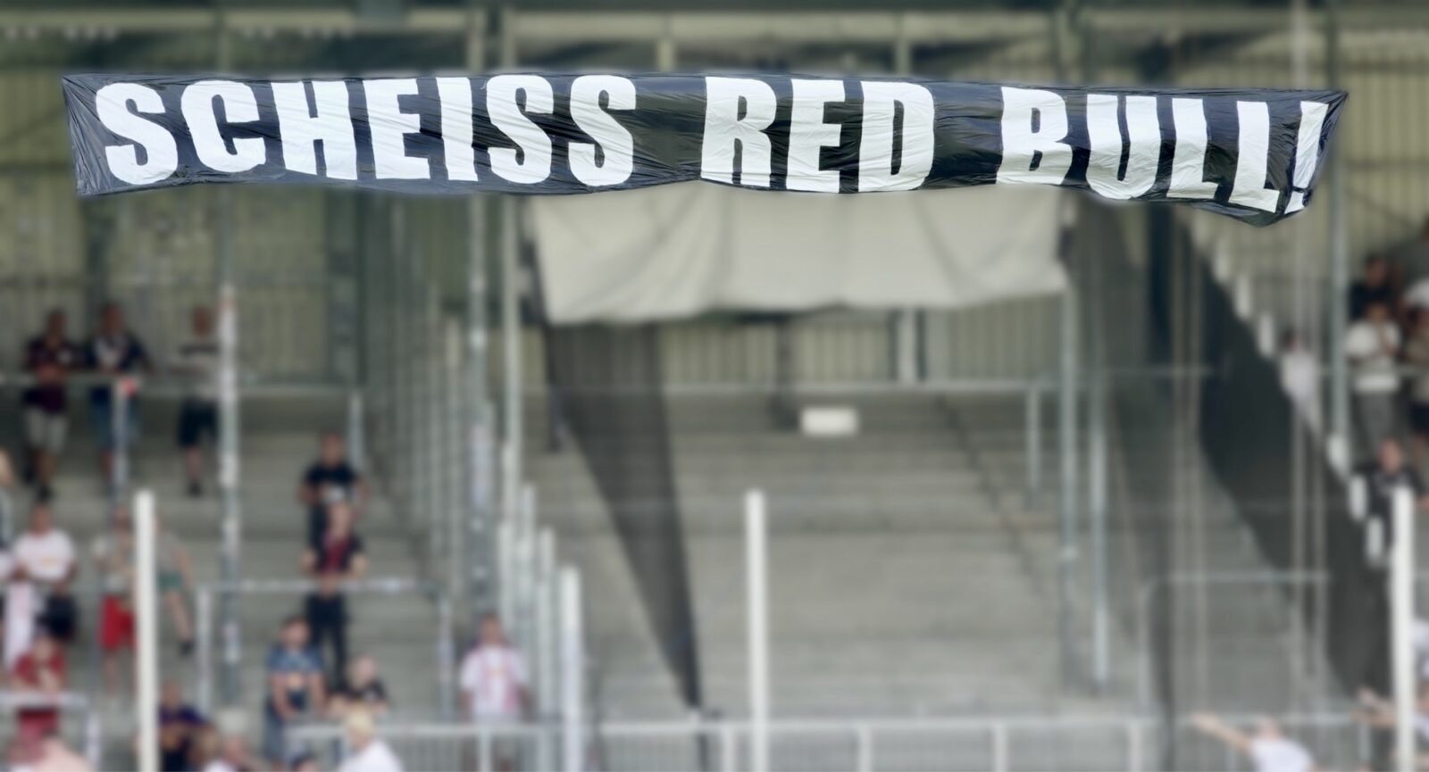 SV Sandhausen – RB Leipzig 2-4 (9)