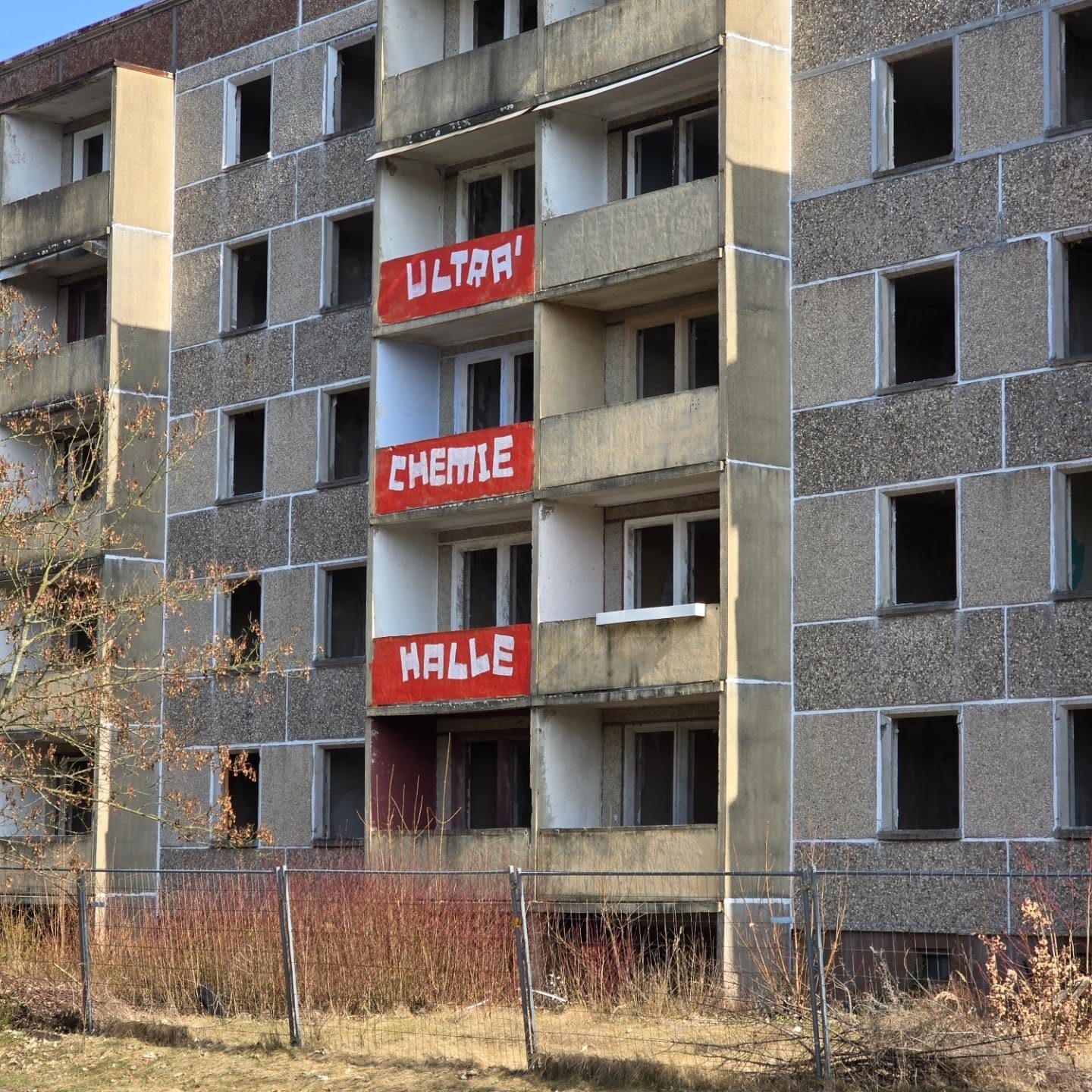 FSV Luckenwalde – Hallescher FC 1-1 (1)