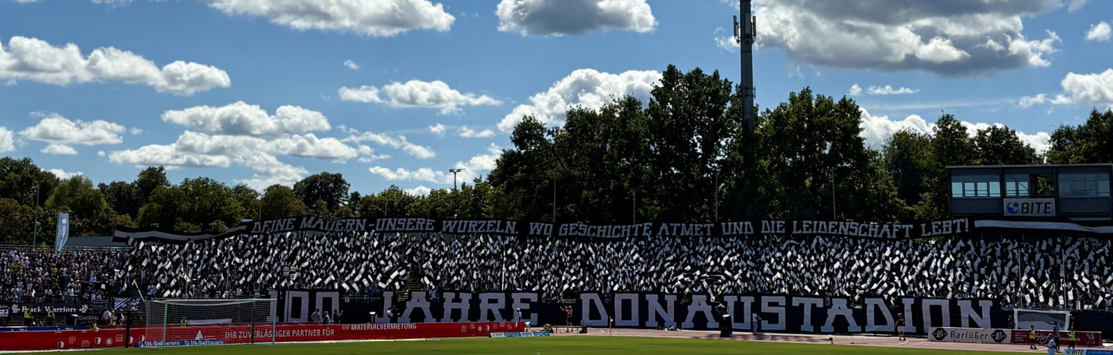 SSV Ulm 1846 – SV Waldhof Mannheim 1:2 (3)