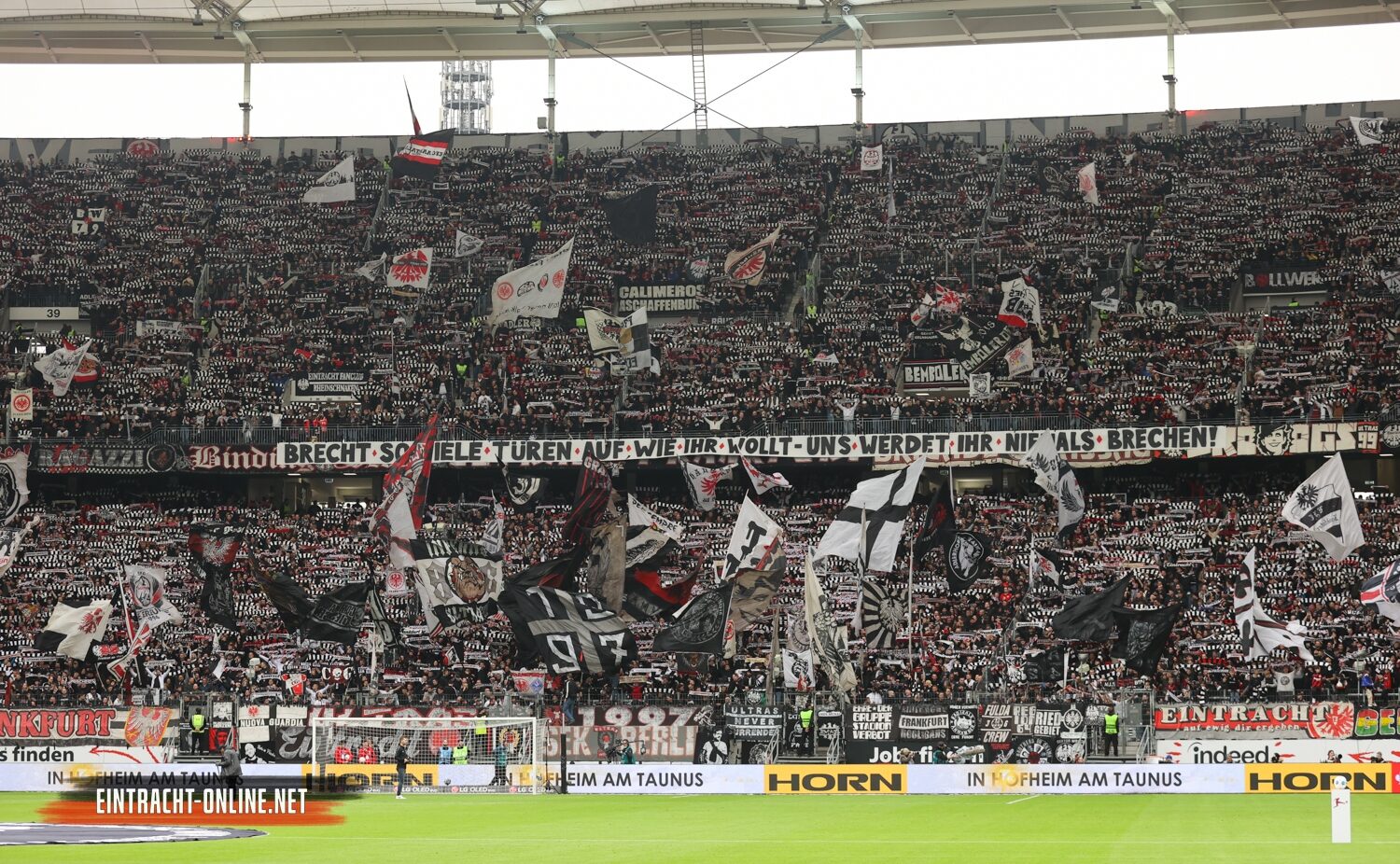 Eintracht Frankfurt – 1. FC Union Berlin 0-0 (11)