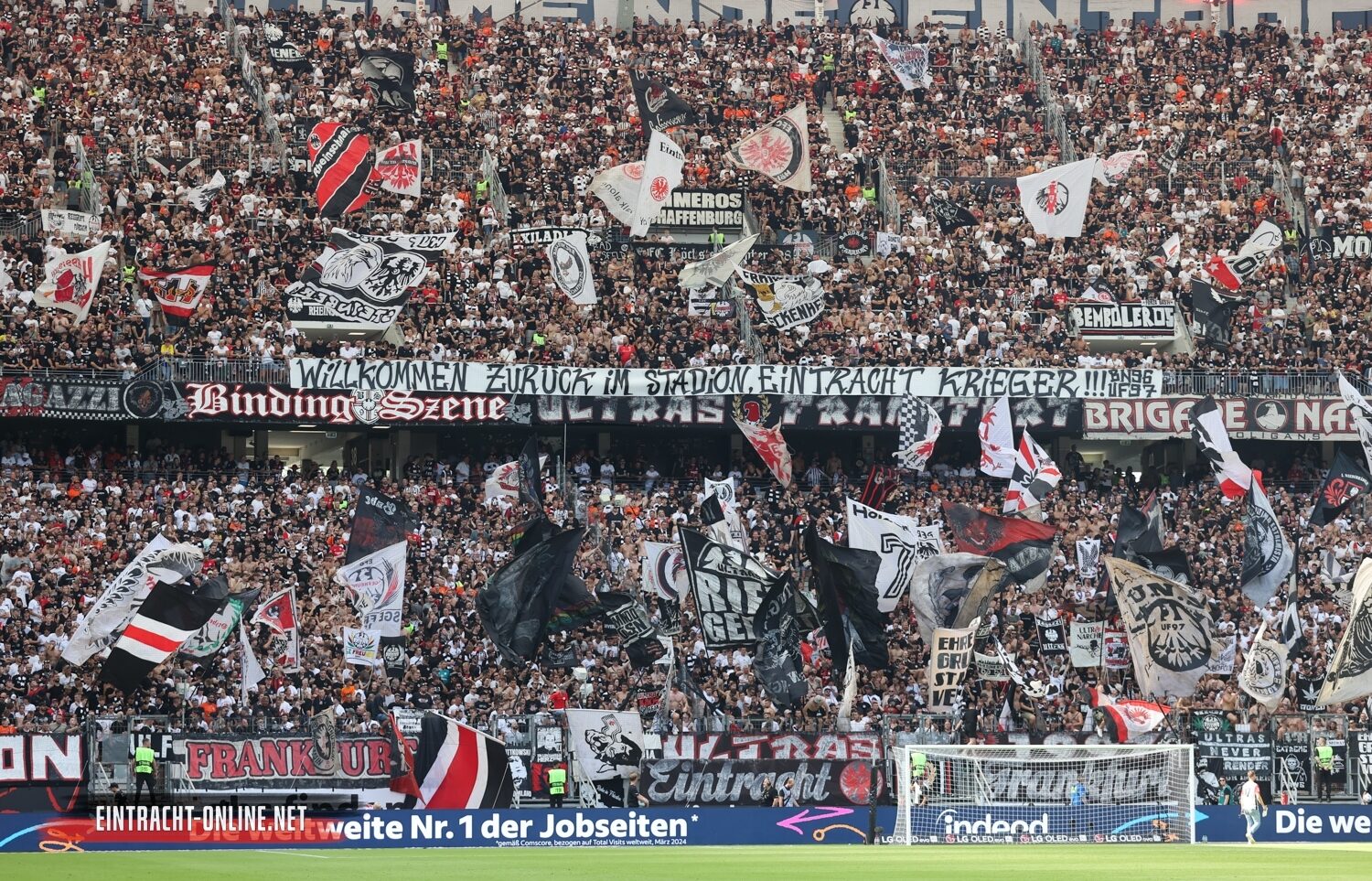 Eintracht Frankfurt – TSG Hoffenheim 3-1 (34)