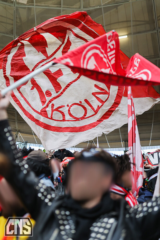 TSG Hoffenheim – 1. FC Köln 1-1 (29)