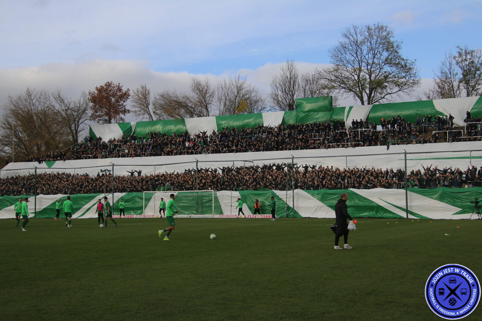 BSG Chemie Leipzig – Hallescher FC 1-1 (29)