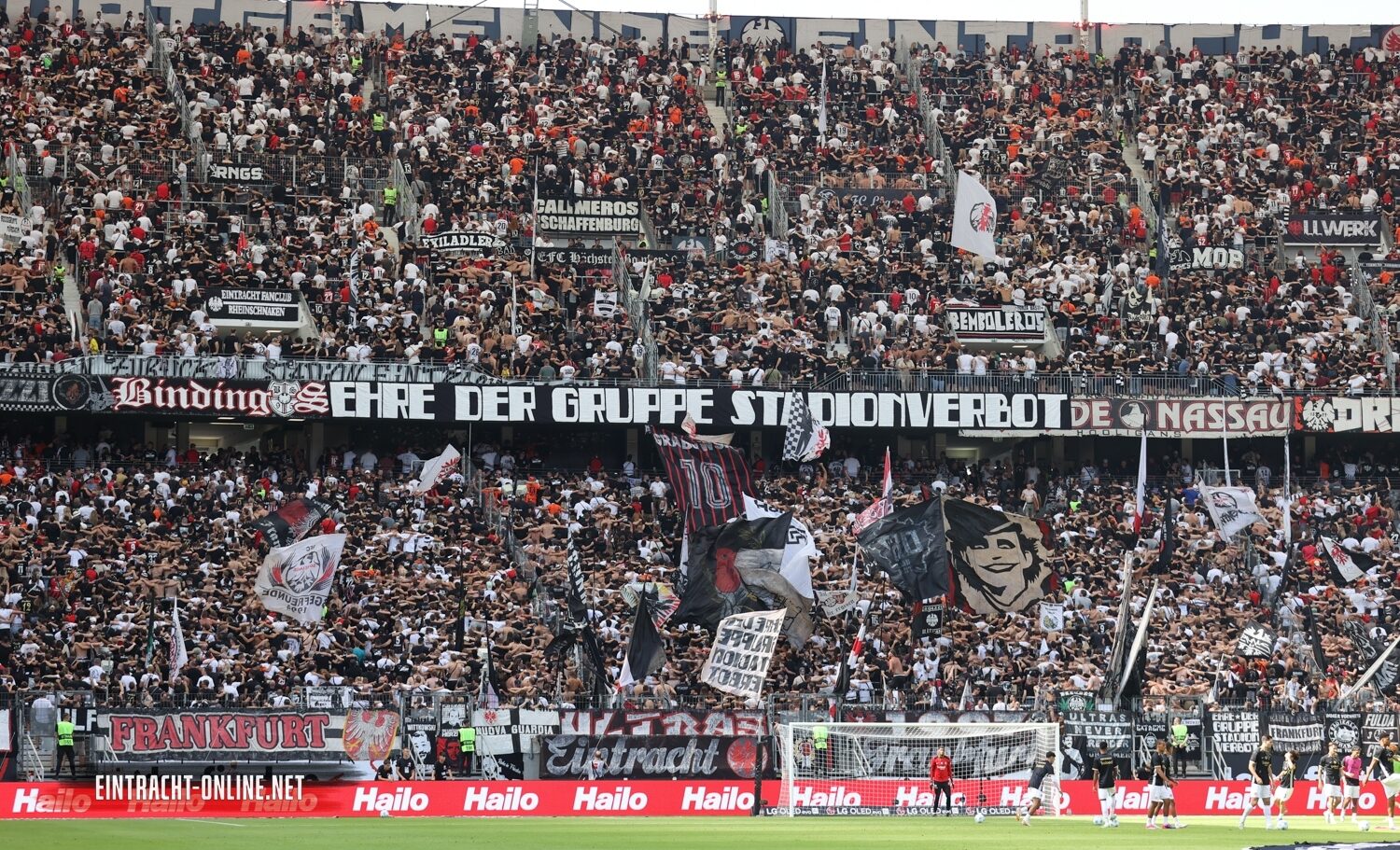 Eintracht Frankfurt – TSG Hoffenheim 3-1 (28)