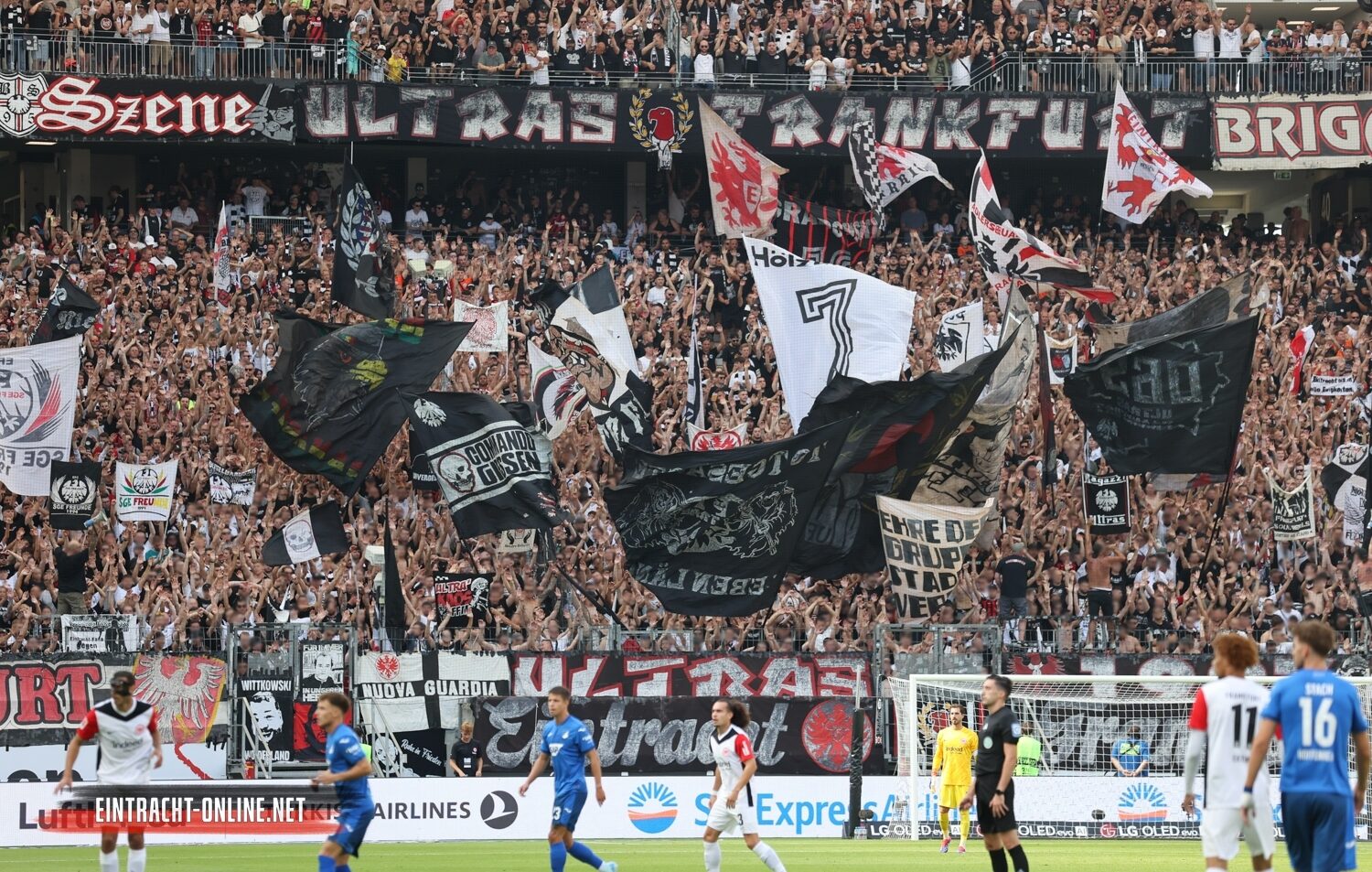 Eintracht Frankfurt – TSG Hoffenheim 3-1 (16)
