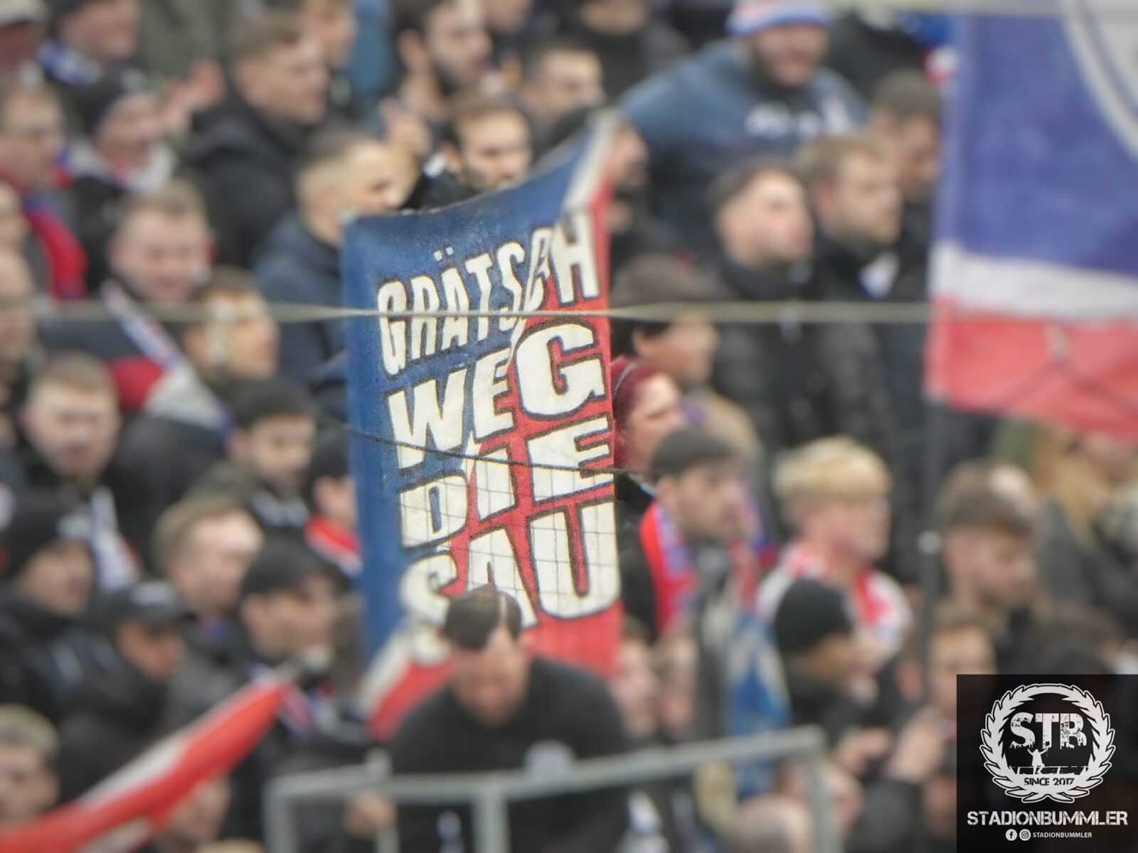 Wuppertaler SV – MSV Duisburg 1-2 (1)