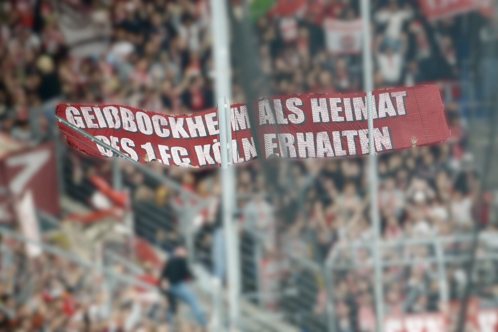 TSG Hoffenheim – 1. FC Köln 0:1 (15)