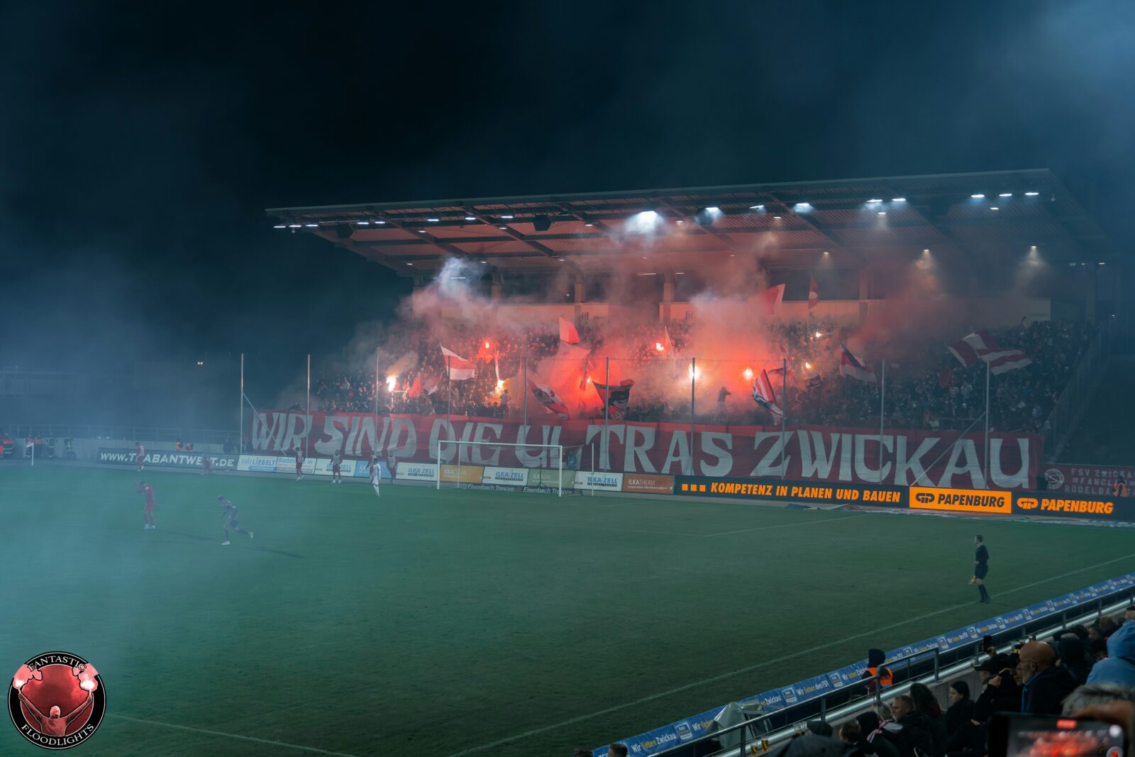 FSV Zwickau – Hallescher FC 1-0 (6)