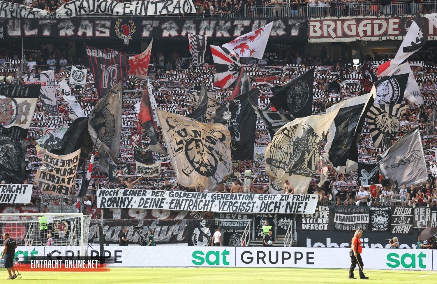 Eintracht Frankfurt – TSG Hoffenheim 3-1 (14)