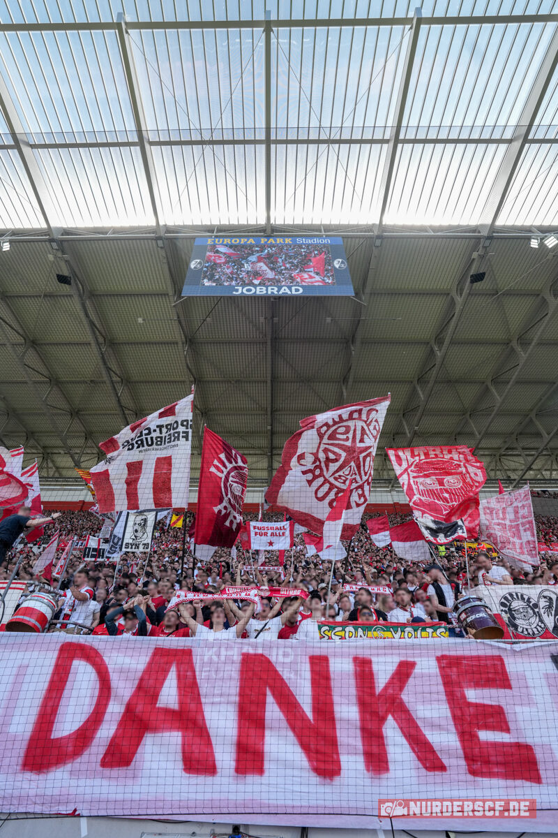 SC Freiburg – VfL Wolfsburg 1-2 (22)